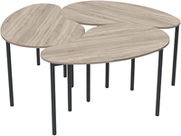 Tafel Twist flow kidney-3