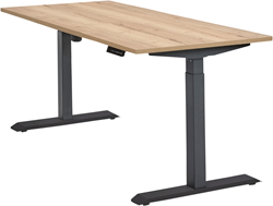 Bureau elektrisch EF2 business zit-sta