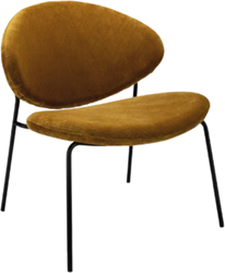 Loungestoel Radio LSC 4-poots - zithoogte 41cm