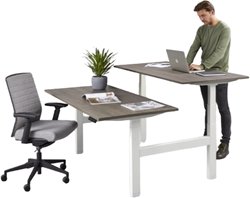 Bureau elektrisch XFB3 business duo zit-sta